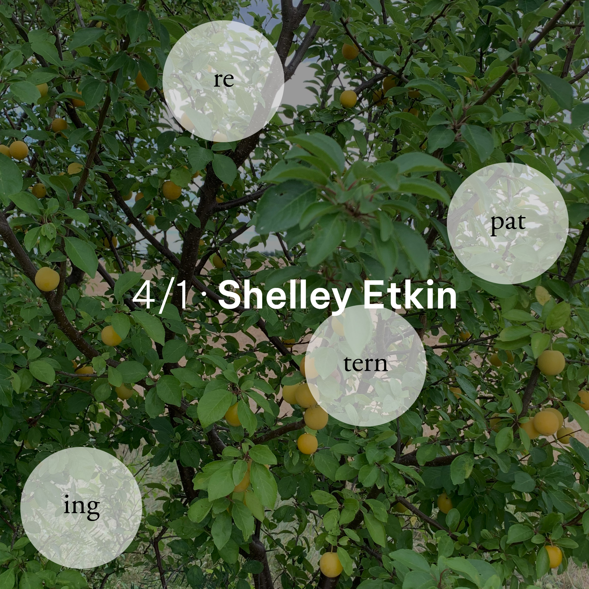 Repatterning 4/1 · Shelley Etkin